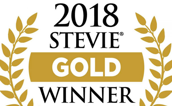 Network9 wins Gold Stevie Award-Logo