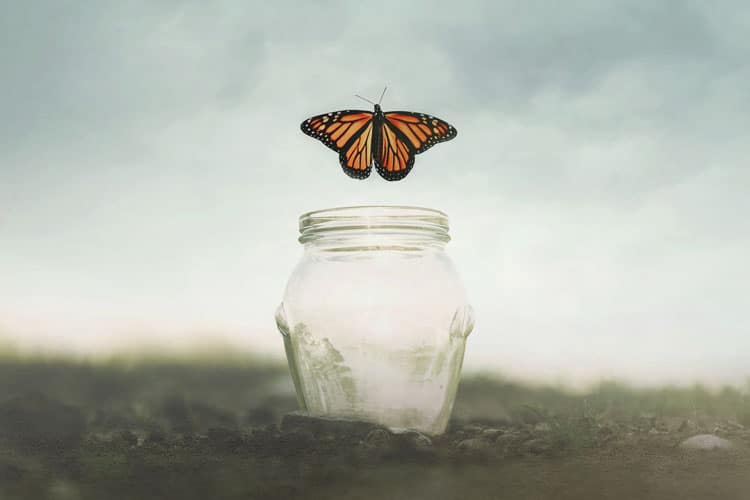 Butterfly emerging from jar inspiration concept for political branding